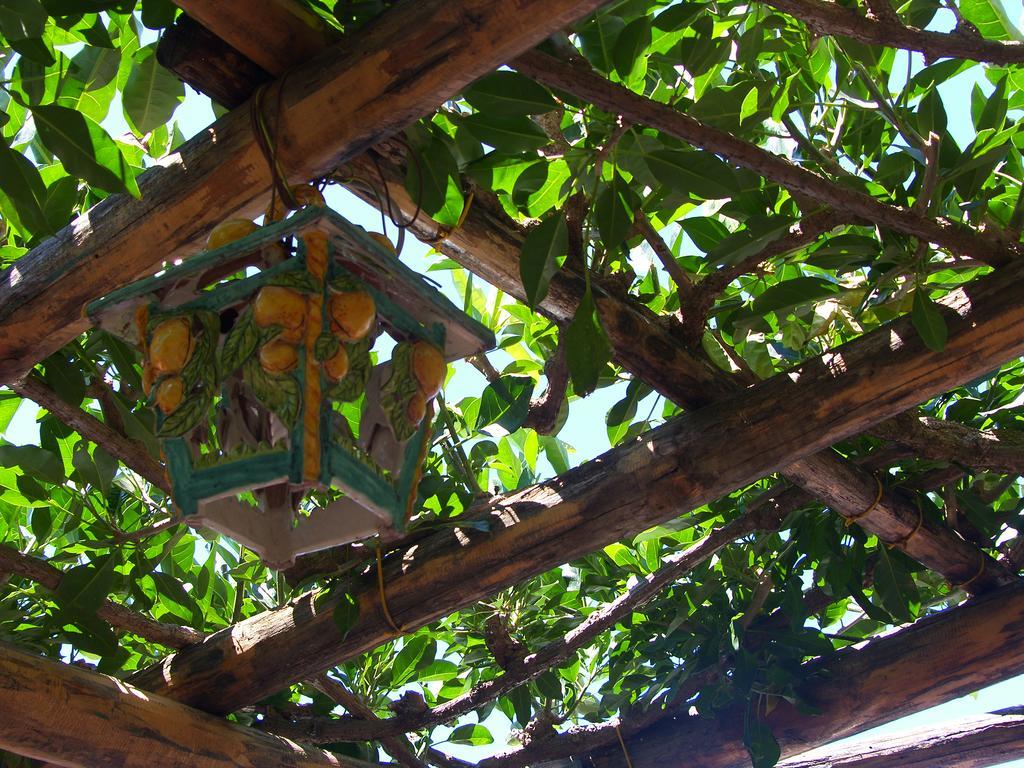 Locanda Degli Agrumi Conca dei Marini Extérieur photo